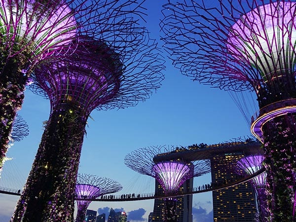 新加坡、馬來西亞雙飛六日游