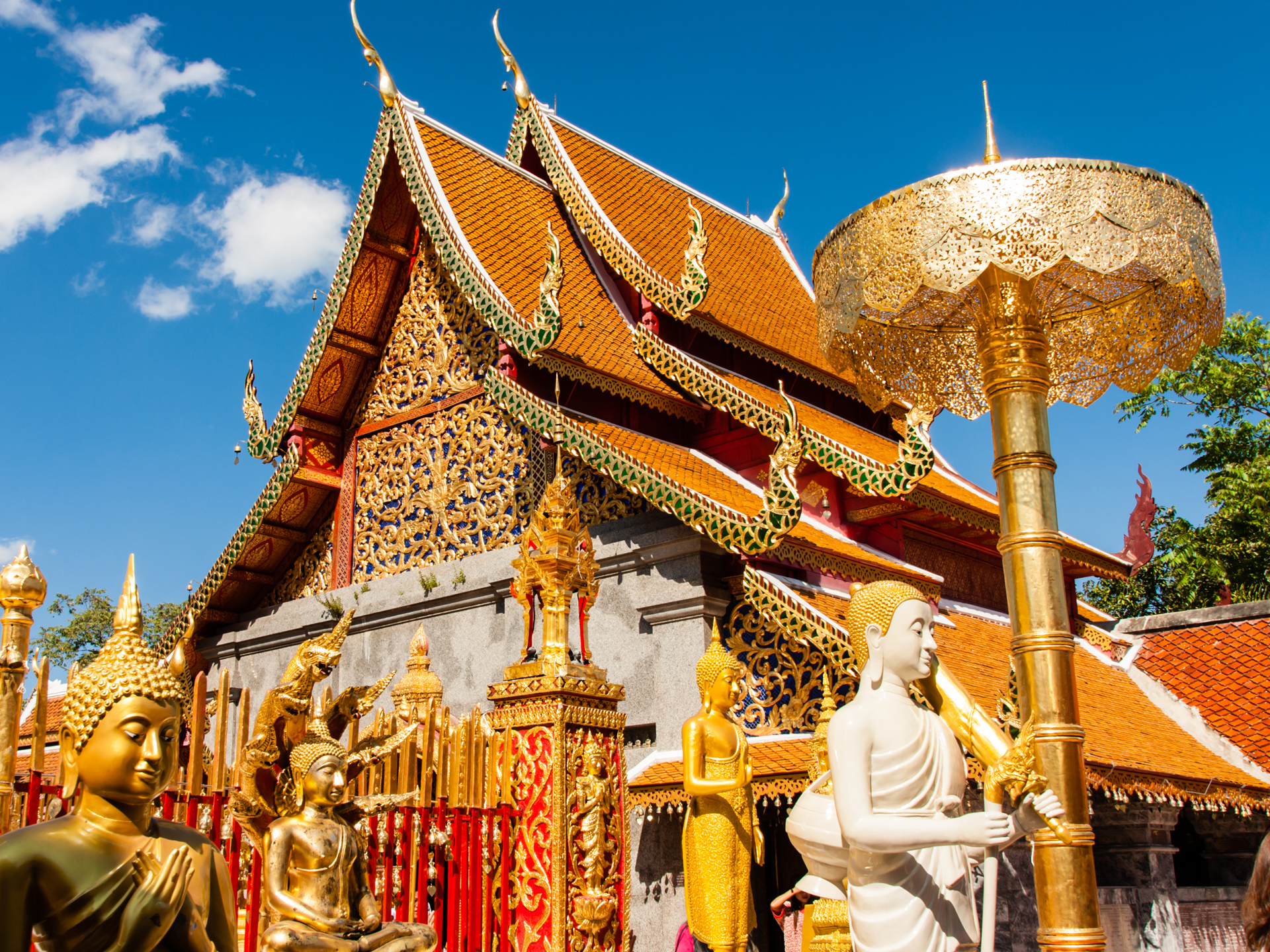 清邁、清萊雙飛7天6晚游