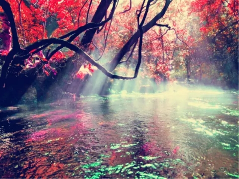 貴州-黃果樹瀑布、荔波大小七孔、西江千戶苗寨5日游