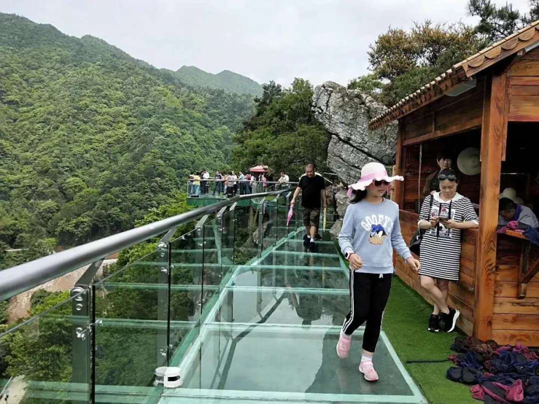 益陽安化?天下茶道、云臺山、茶香花海2日游