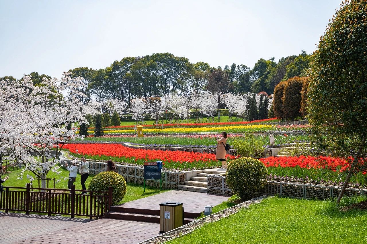 岳陽(yáng)花語(yǔ)世界、汴河街一日游