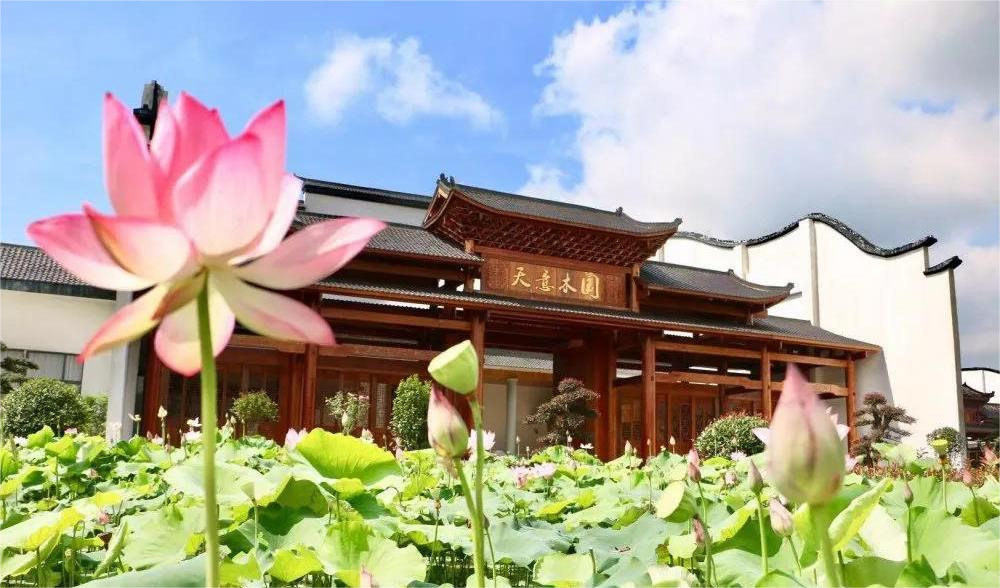 清溪村、天意木國景區(qū)、明清古巷、市博物館、胡林翼故居二日游